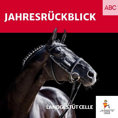 Jahresrückblick Jahresrückblick