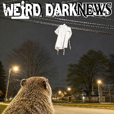 Naked Man Smashes Through Punxsutawney Hospital Wall | #WeirdDarkNEWS Naked Man Smashes Through Punxsutawney Hospital Wall | #WeirdDarkNEWS