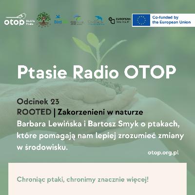 Odc. 23 | Barbara Lewińska i Bartosz Smyk o ptakach, które pozwalają nam lepiej zrozumieć zmiany w środowisku
