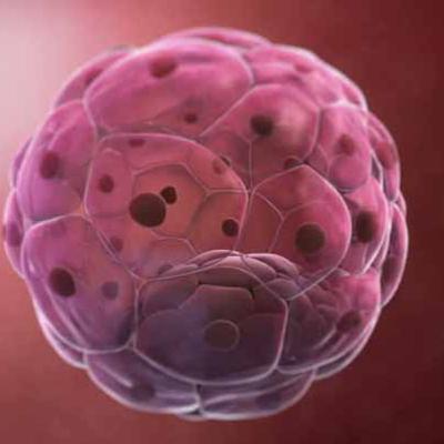 BIOENGINEERING: Introduction