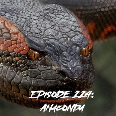 Episode 224: Anaconda Episode 224: Anaconda