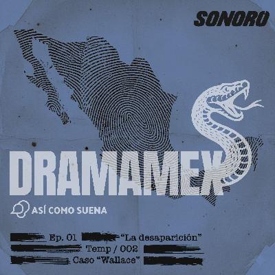 1. WALLACE - La desaparición.