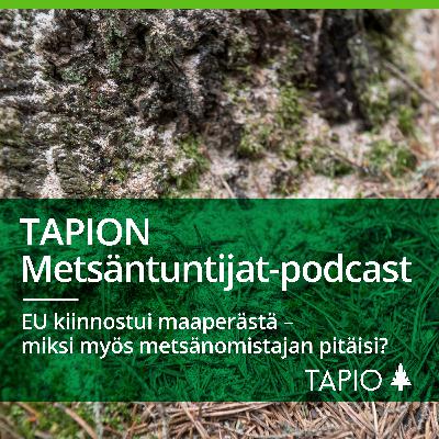 EU kiinnostui maaperästä – miksi myös metsänomistajan pitäisi?