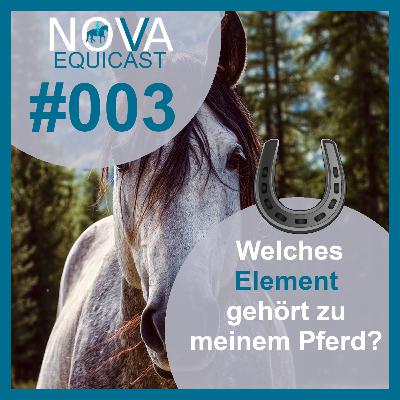 003 Welches Element gehört zu meinem Pferd?