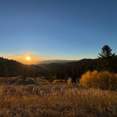 This Week in Yellowstone: June 19th to June 25th, 2025