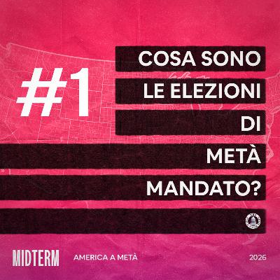 Ep. 1: Cosa sono le elezioni di metà mandato? Ep. 1: Cosa sono le elezioni di metà mandato?