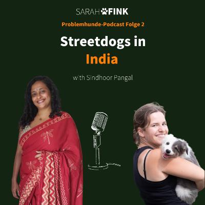 [EN] Streetdogs in India - Sindhoor Pangal | Sarah Fink Problemhunde-Podcast Folge 2
