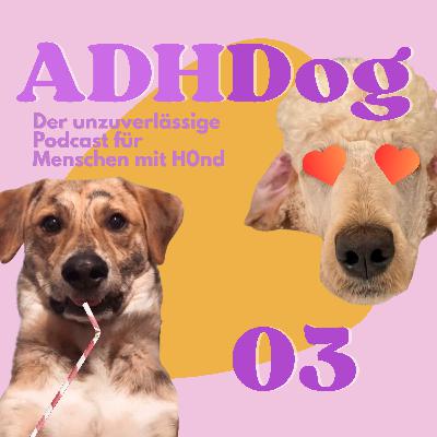#3 | Hormonchaos und Tierschutzfragen #3 | Hormonchaos und Tierschutzfragen