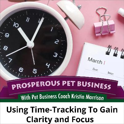 Ep. 164: Use Time Tracking to Gain Clarity and Focus