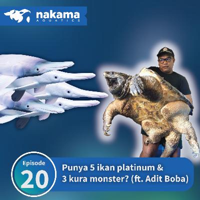 Eps 20 : "Punya 5 Alligator Platinum & 3 kura AST? Sultan nih orang!!" (ft. Adit Boba) Eps 20 : "Punya 5 Alligator Platinum & 3 kura AST? Sultan nih orang!!" (ft. Adit Boba)