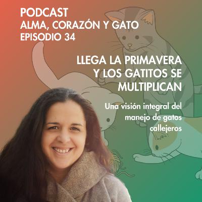 E.34: La Primavera y la multiplicación de los Gatos