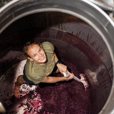 Episode 6: From cellar to success