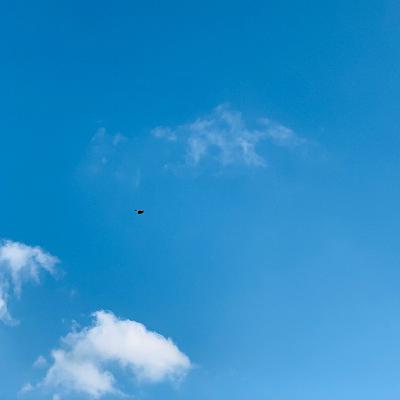 空性之心 空性之心