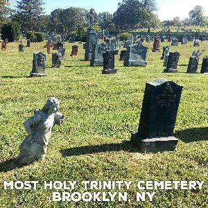 Cemeteries of New York: Most Holy Trinity Cemetery