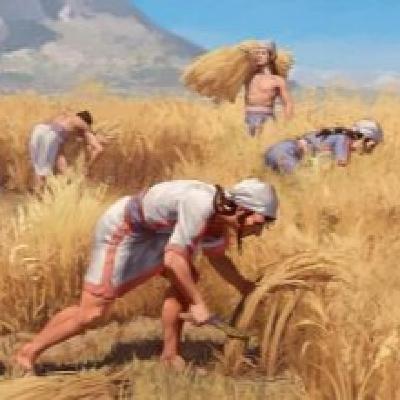 Hoy hicimos un guiño a la AGRICULTURA y la GANADERIA, hicimos el mejor programa posible para dedicarselo a ellos/as!