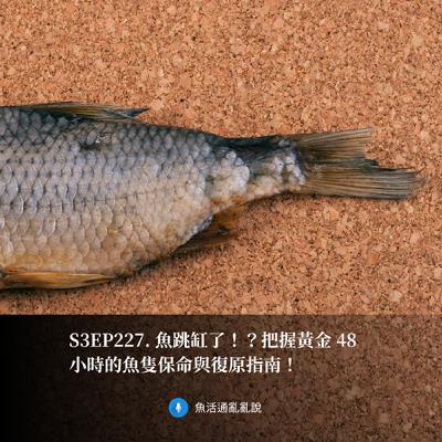 S3EP227. 魚跳缸了！？把握黃金 48 小時的魚隻保命與復原指南！