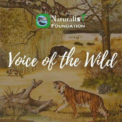 S2E2: Assam floods • Human-Wildlife Conflict • Mangroves
