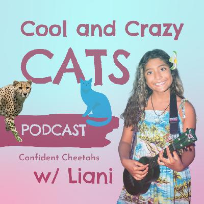 Confident Cheetahs