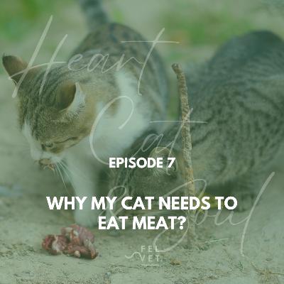 EPISODE 7: Why My Cat Needs to Eat Meat?