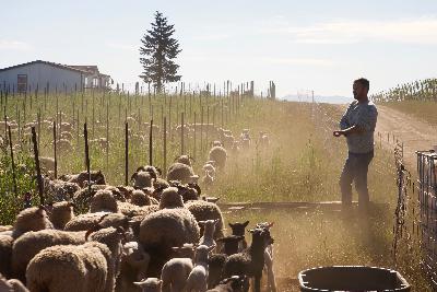 Naked Grazing - Jared Lloyd Naked Grazing - Jared Lloyd