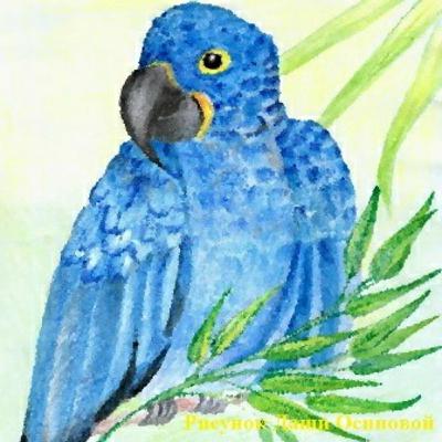 Why parrots repeat words? Why parrots repeat words?