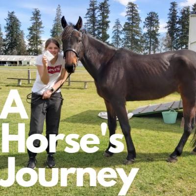 SEASON 3! TIME FOR SOME CONTROVERSEY? An intro to see season 3!