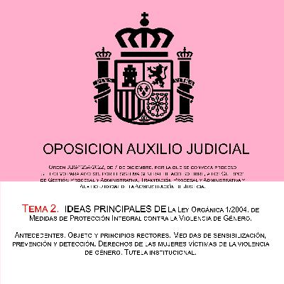 TEMA 2 .- IDEAS PRINCIPALES de la Ley Orgánica 1/2004, de 28 de diciembre.