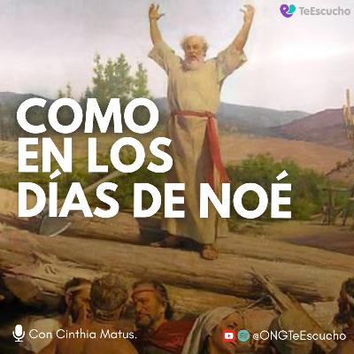 #32 Como en los días de Noé