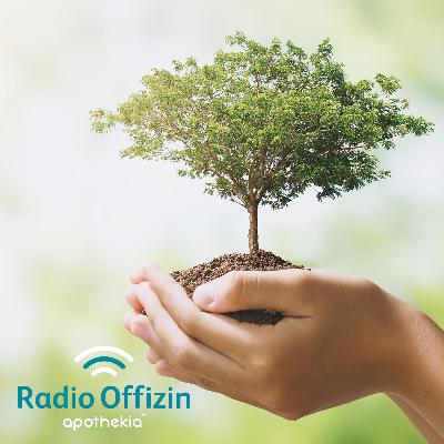 012 - Resumen de la 1ª Temporada de Fallout (Capitulo a capitulo)