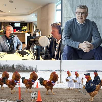 Chicken Supply Turmoil, GST off Food Movement and guest Carman Allison, Vice President NIQ Canada