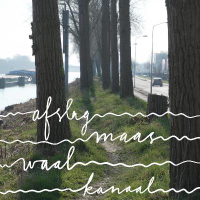 Proloog II: Rooilijnen