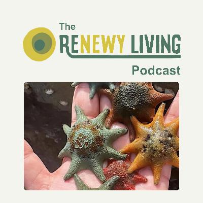 39. Looking after the Ocean to Look after the Earth with Rhi Mitchell from Saltwater Sistas