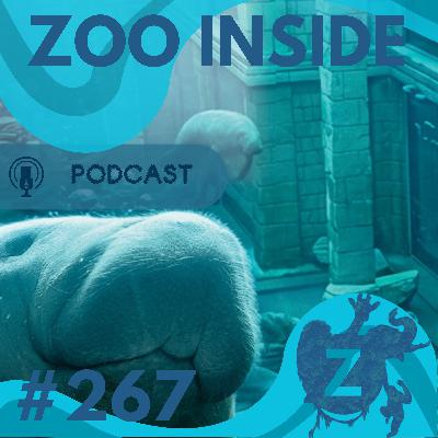 Zoo Inside #267 - Pairi Daiza presenteert Edenya Zoo Inside #267 - Pairi Daiza presenteert Edenya