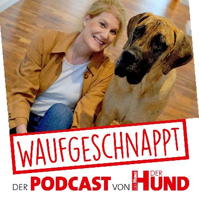 Kamera verstehen, Hundefotografie meistern - Regine Heuser