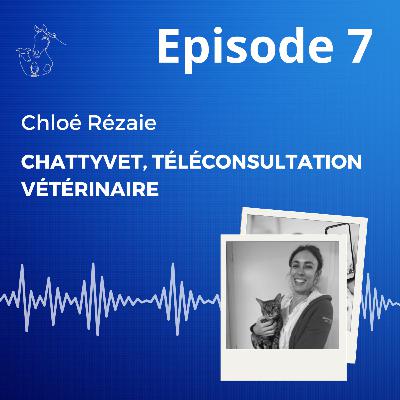 Episode 7 : Chattyvet, téléconsultation vétérinaire