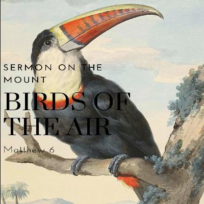 Sermon on the Mount: Birds of the Air