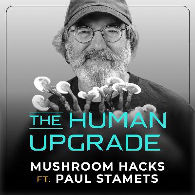 Eat THESE Anti-Aging Mushrooms to Live Longer (Paul Stamets)  : 1327