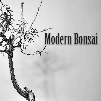 Modern Bonsai Episode 12 " The Japanese Apprentice 2 " Ft Sean Hartley