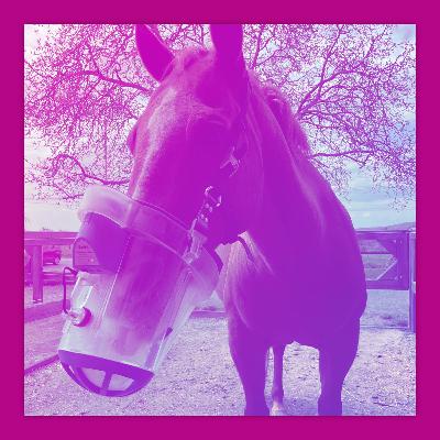 #38 🎙Eva Kern von NeBuTec über Pferde-Inhalation