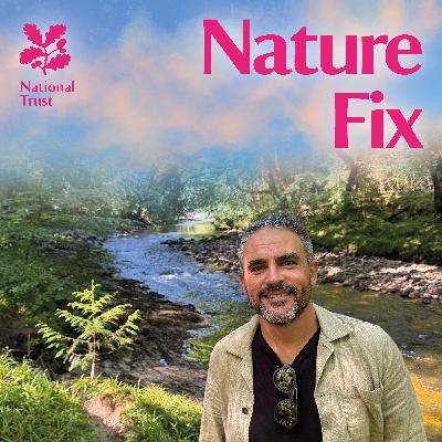 The Secret Story of Trees with Levison Wood