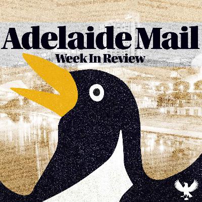 🗞 5th Feb - Psychics, Slippery Pavers & Pool Poo: We are so back