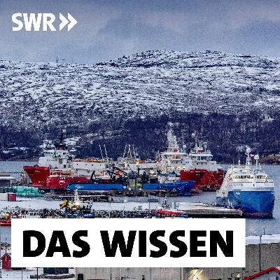 Abkürzung Arktis – Neue Schifffahrtsrouten durch den Klimawandel? Abkürzung Arktis – Neue Schifffahrtsrouten durch den Klimawandel?