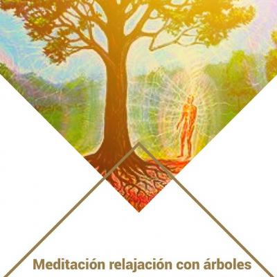 Meditación de relajación con los árboles Meditación de relajación con los árboles