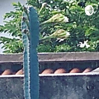 Não Tenha Medo, Tenha Fé. (Trailer)