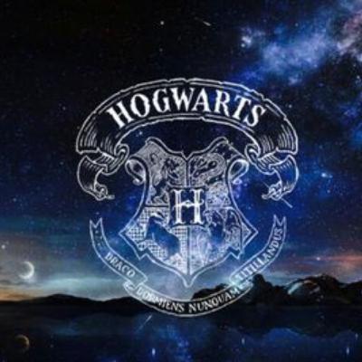 Etwas zu den Häusern von Hogwarts.