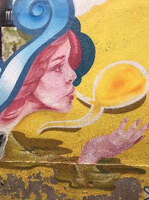 #DiePodcastin liebt das Grundgesetz: Isabel Rohner & Regula Staempfli über die Integrität des weiblichen Körpers, über woke aktivistische Richterinnen & Verwaltungsstellen & Was ist eine Frau-Aktion, bei der Alle mitmachen muessen.