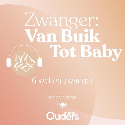 6 Weken zwanger: De vitaliteitsecho