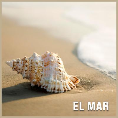 El mar El mar
