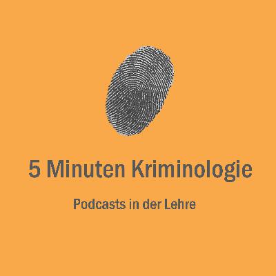Folge 55: Entwicklung der Gesamtkriminalität ab 1993