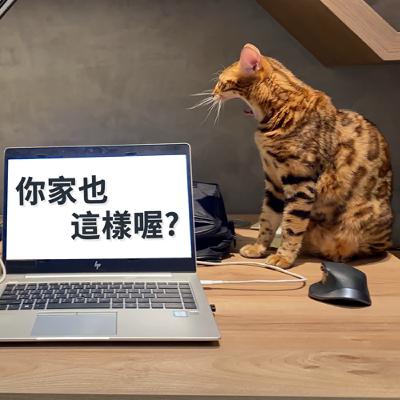 過年為什麼越來越沒年味?是我們變了,還是時代變了? 過年為什麼越來越沒年味?是我們變了,還是時代變了?